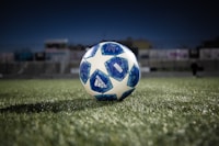 英格兰国家队队徽 - 三只狮子与十朵玫瑰纹章